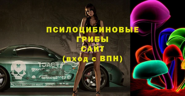 соль ск Дмитров