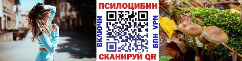 Купить закладки  Зеленодольск  Галлюциногенные грибы GOLDEN TEACHER 